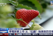 国产草莓视频